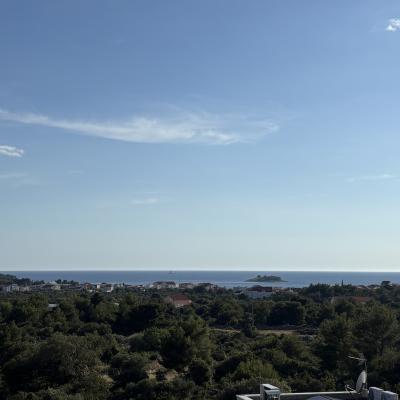 Panorama1